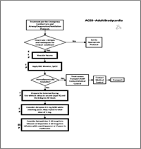 ac03 adult bradycardia 200